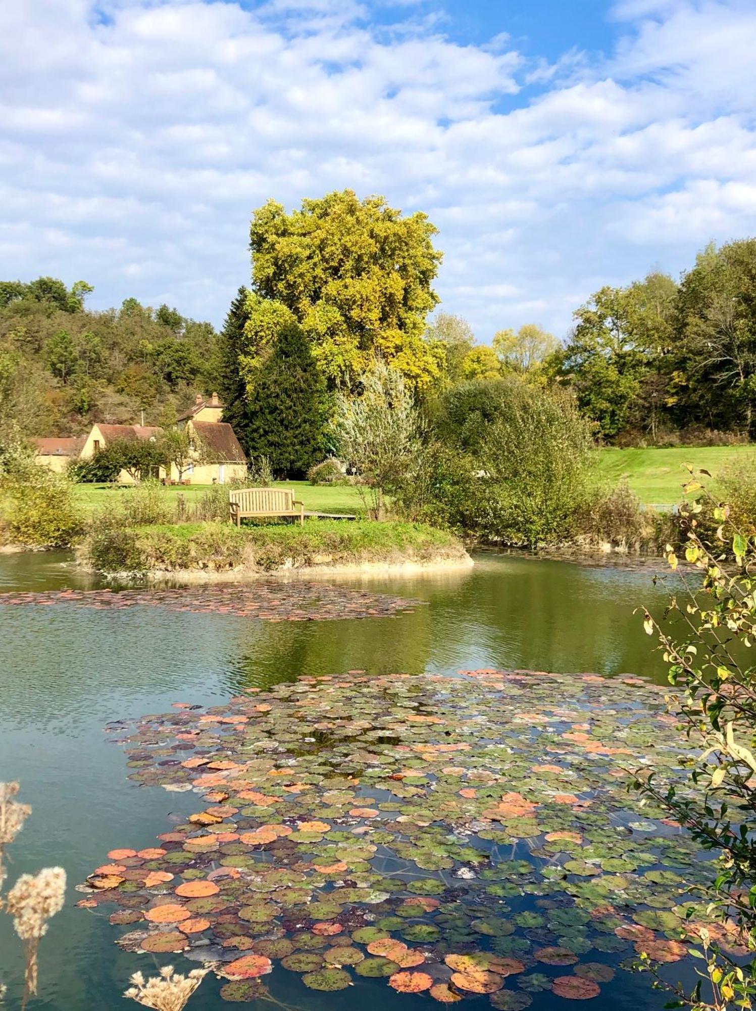 Вілла Le Moulin Aux Ans Archignac Номер фото
